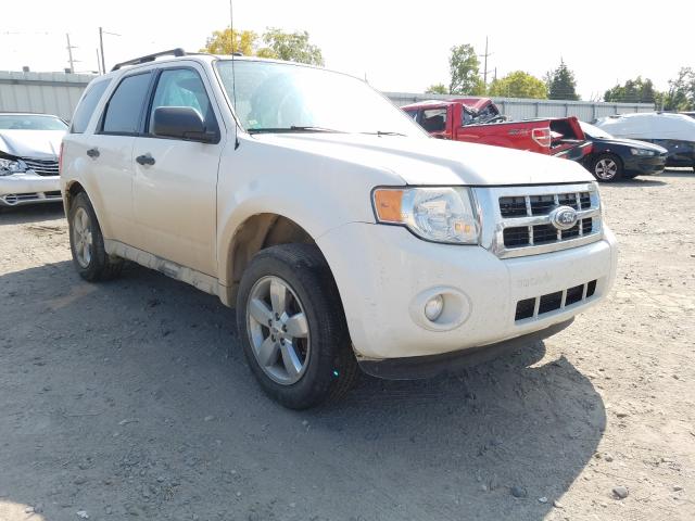 FORD ESCAPE XLT 2010 1fmcu9d76akb60639