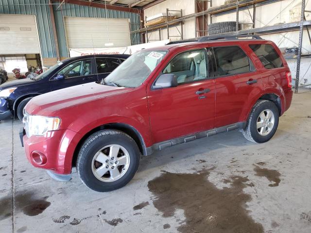 FORD ESCAPE XLT 2011 1fmcu9d76bka59280