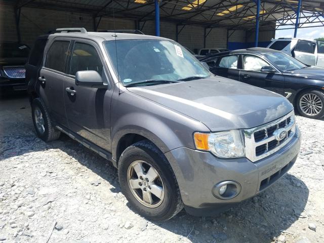 FORD ESCAPE XLT 2011 1fmcu9d77bka97780