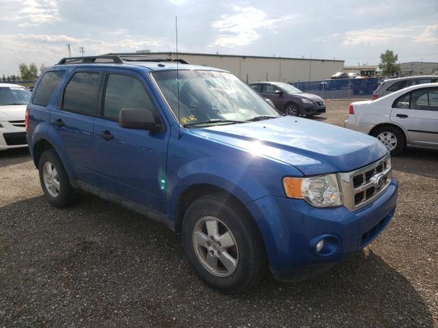 FORD ESCAPE XLT 2011 1fmcu9d77bkb00449