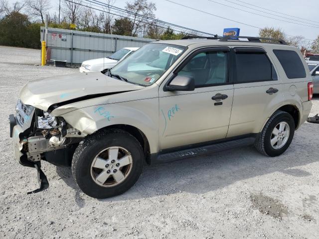 FORD ESCAPE XLT 2011 1fmcu9d77bkb20006