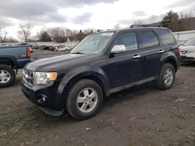 FORD ESCAPE XLT 2011 1fmcu9d77bkc24270