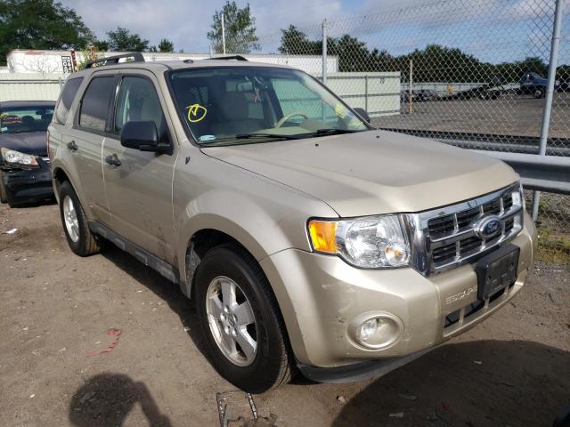 FORD ESCAPE XLT 2012 1fmcu9d77ckc74846