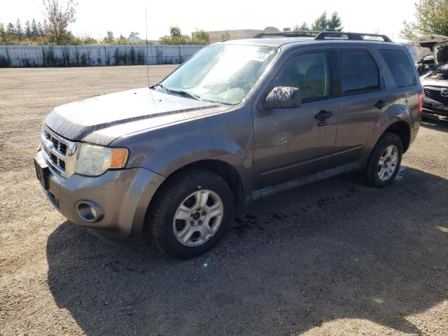 FORD ESCAPE XLT 2010 1fmcu9d78aka50773