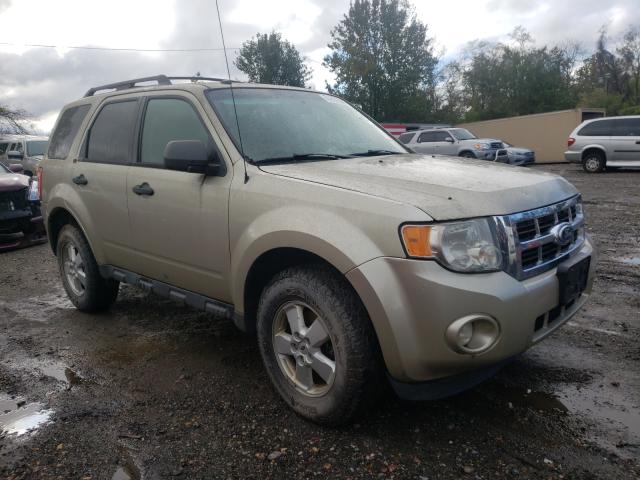 FORD ESCAPE XLT 2010 1fmcu9d78akc02597