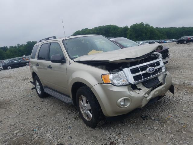 FORD ESCAPE XLT 2011 1fmcu9d78bka52198