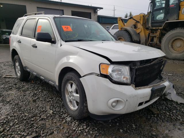 FORD ESCAPE XLT 2011 1fmcu9d78bkb73393