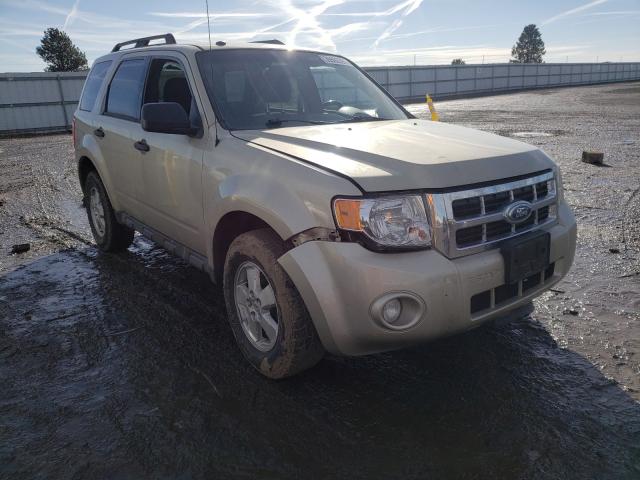 FORD ESCAPE XLT 2011 1fmcu9d78bkb74561