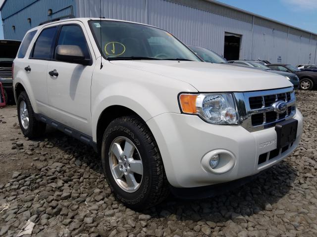 FORD ESCAPE XLT 2012 1fmcu9d78ckb81091