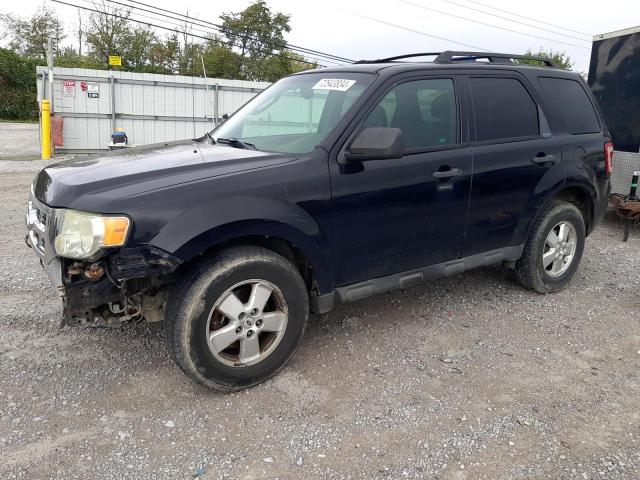 FORD ESCAPE XLT 2010 1fmcu9d79akc79723