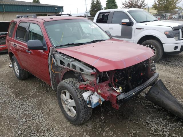 FORD ESCAPE XLT 2011 1fmcu9d79bka22353