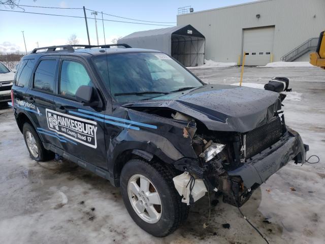 FORD ESCAPE XLT 2011 1fmcu9d79bka94699