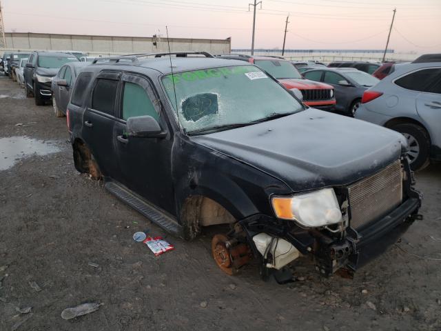 FORD ESCAPE XLT 2010 1fmcu9d7xakb61261