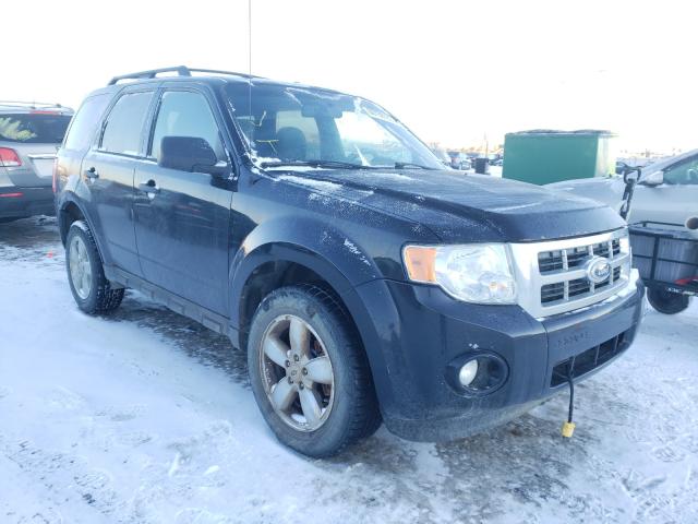 FORD ESCAPE XLT 2010 1fmcu9d7xakb73216