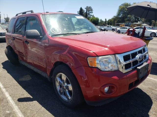 FORD ESCAPE XLT 2011 1fmcu9d7xbka74493