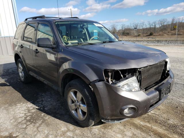 FORD ESCAPE XLT 2011 1fmcu9d7xbka79337