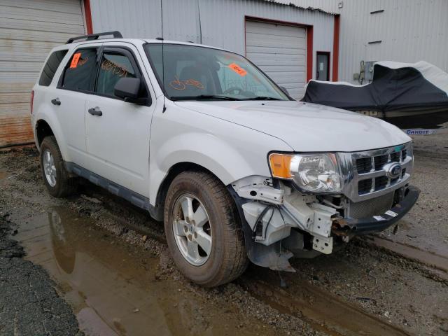 FORD ESCAPE XLT 2011 1fmcu9d7xbkb29265