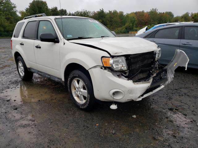 FORD ESCAPE XLT 2011 1fmcu9d7xbkc35294