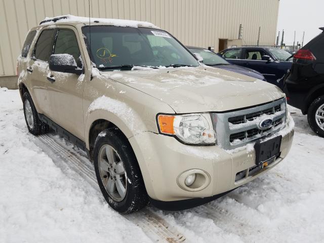 FORD ESCAPE XLT 2012 1fmcu9d7xckb96546