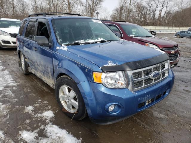 FORD ESCAPE XLT 2010 1fmcu9dg0aka43915