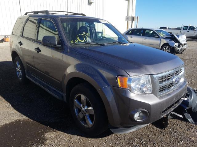 FORD ESCAPE XLT 2010 1fmcu9dg0aka84660