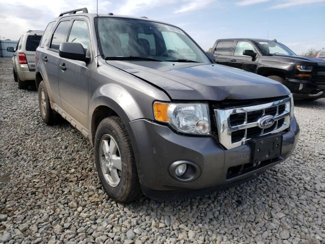 FORD ESCAPE XLT 2010 1fmcu9dg0akb02784