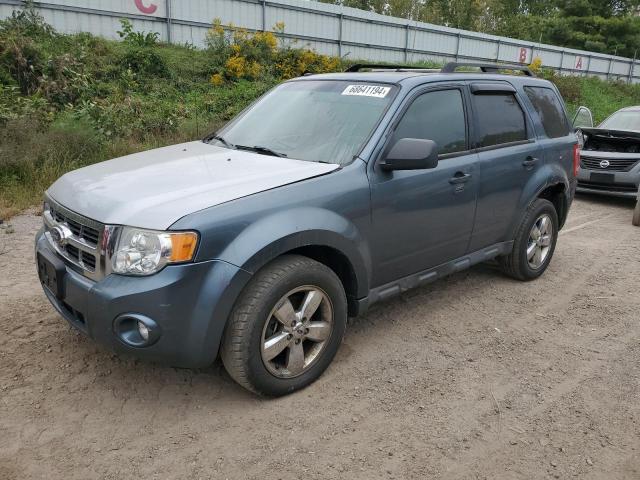 FORD ESCAPE XLT 2010 1fmcu9dg0akb07712