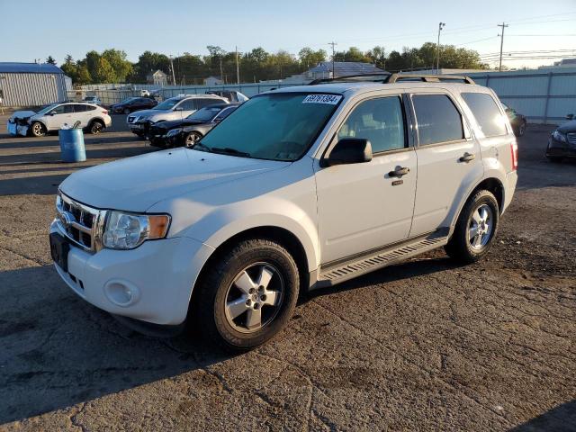 FORD ESCAPE XLT 2010 1fmcu9dg0akb21089