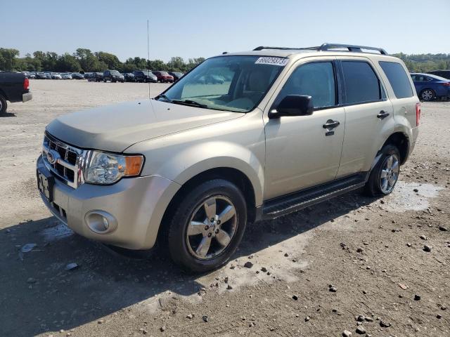 FORD ESCAPE XLT 2010 1fmcu9dg0akc16140