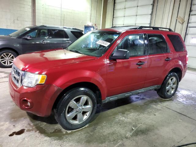 FORD ESCAPE 2010 1fmcu9dg0akc49509