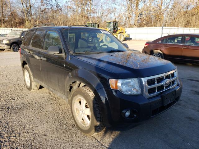 FORD ESCAPE XLT 2010 1fmcu9dg0akc65127