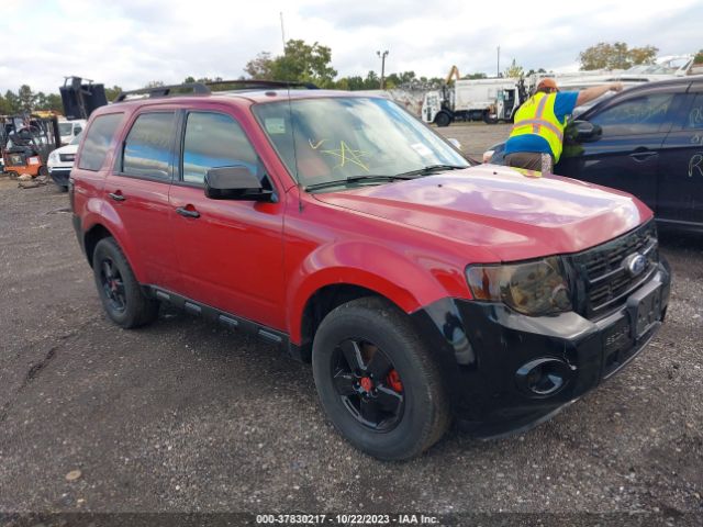 FORD ESCAPE 2010 1fmcu9dg0akc67525