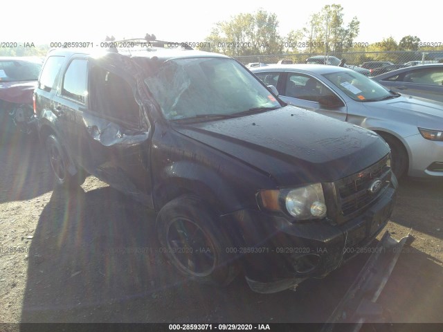 FORD ESCAPE 2010 1fmcu9dg0akc70232