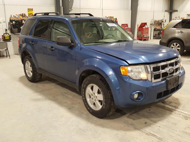 FORD ESCAPE XLT 2010 1fmcu9dg0akc72160