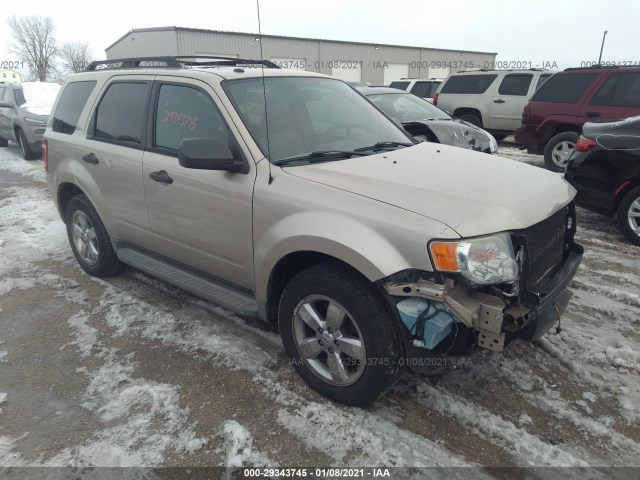 FORD ESCAPE 2010 1fmcu9dg0akc85958