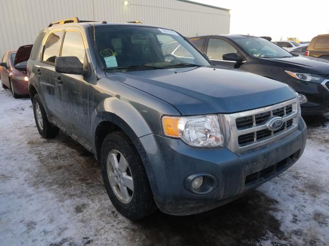 FORD ESCAPE XLT 2010 1fmcu9dg0akd23057