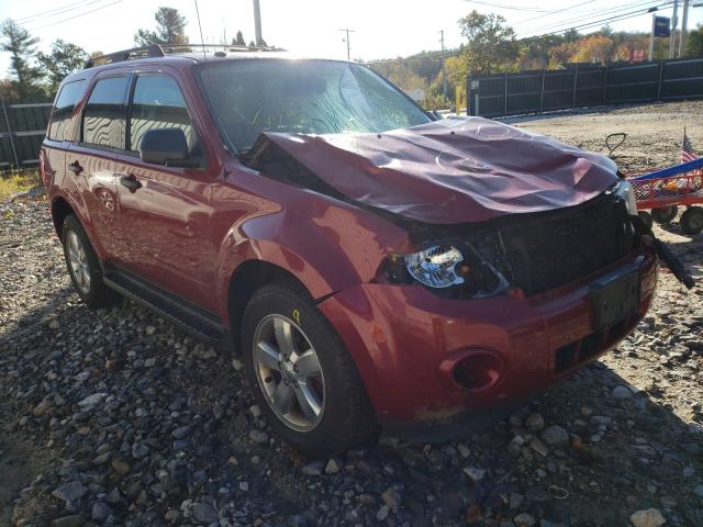 FORD ESCAPE XLT 2011 1fmcu9dg0bk504495