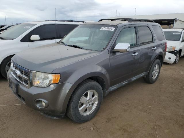 FORD ESCAPE XLT 2011 1fmcu9dg0bka56083