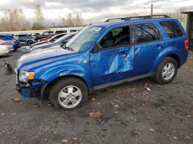 FORD ESCAPE XLT 2011 1fmcu9dg0bkb03743