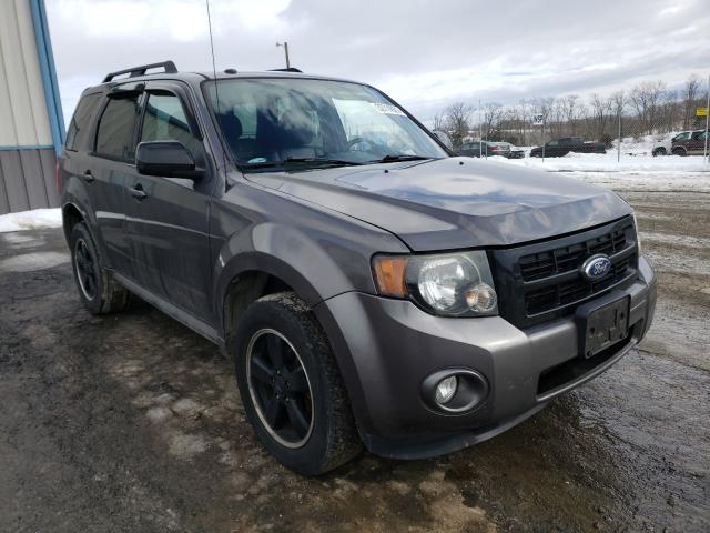 FORD ESCAPE XLT 2011 1fmcu9dg0bkb09512