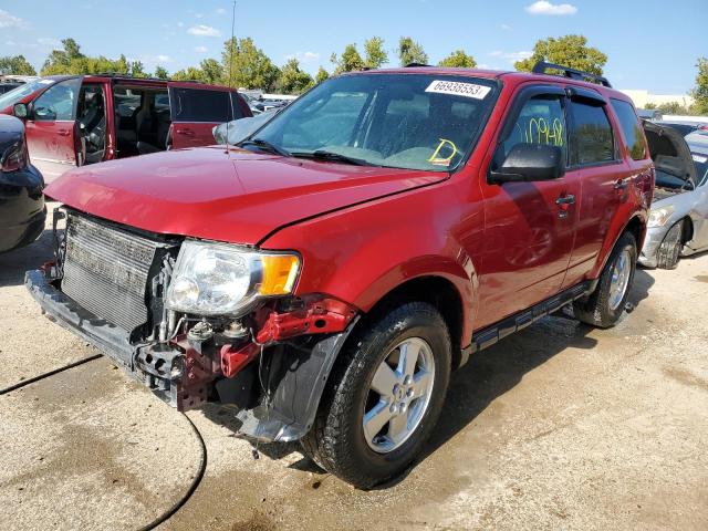 FORD ESCAPE XLT 2011 1fmcu9dg0bkb13611