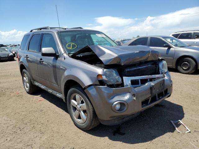 FORD ESCAPE XLT 2011 1fmcu9dg0bkb39352