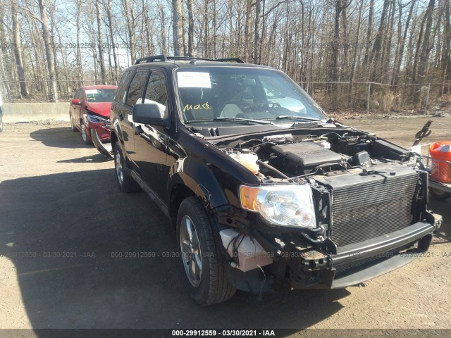 FORD ESCAPE 2011 1fmcu9dg0bkb58001