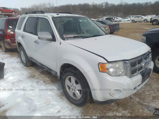 FORD ESCAPE 2011 1fmcu9dg0bkc25387