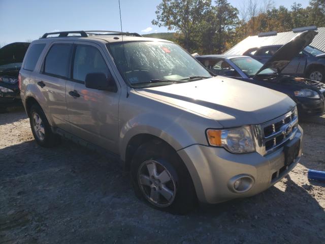 FORD ESCAPE XLT 2011 1fmcu9dg0bkc35613