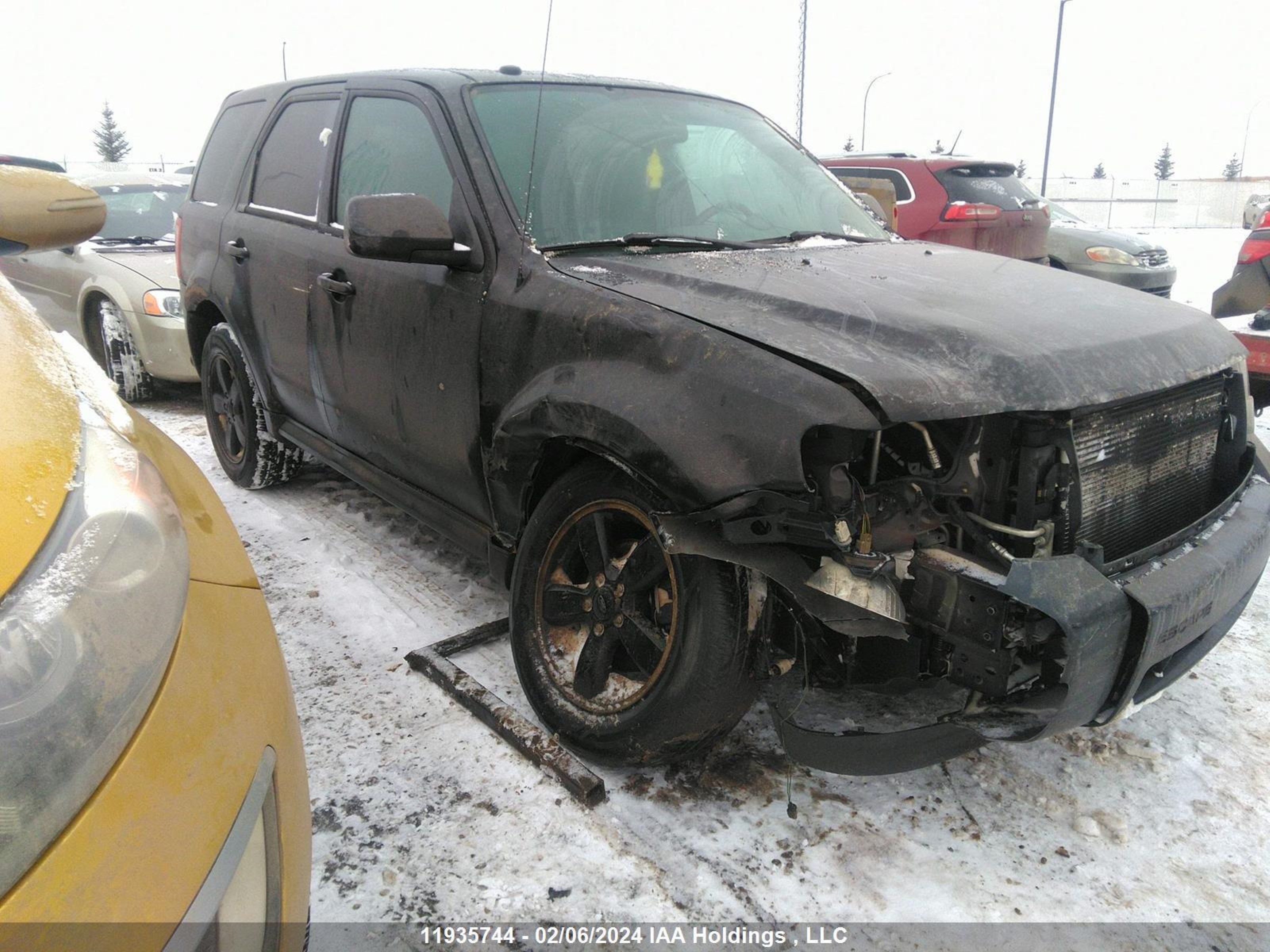 FORD ESCAPE 2011 1fmcu9dg0bkc45557