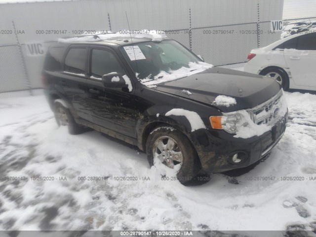 FORD ESCAPE 2011 1fmcu9dg0bkc51522