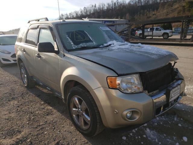 FORD ESCAPE XLT 2011 1fmcu9dg0bkc53142