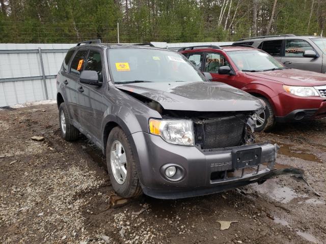 FORD ESCAPE XLT 2011 1fmcu9dg0bkc53335