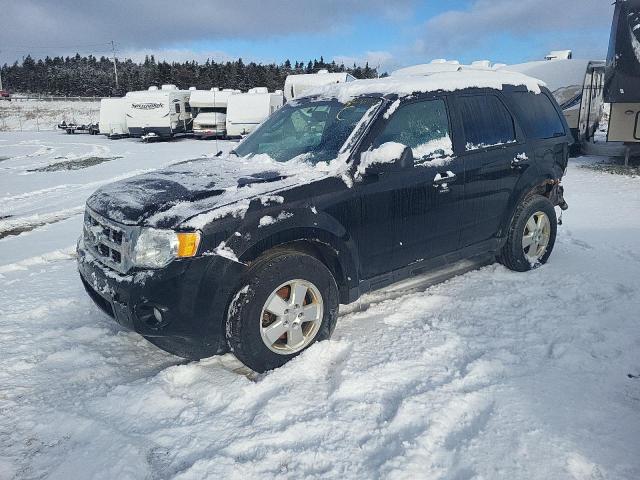 FORD ESCAPE XLT 2012 1fmcu9dg0ckc72064